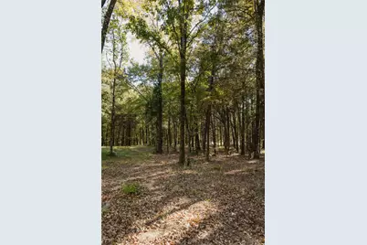 Lot 16 Private Road 5948, Yantis, TX 75497 - Photo 7