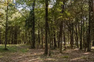 Lot 16 Private Road 5948, Yantis, TX 75497 - Photo 7