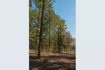 Lot 16 Private Road 5948, Yantis, TX 75497 - Photo 3