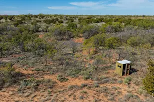 1201 Co Rd 216, Sweetwater, TX 79556 - Photo 37