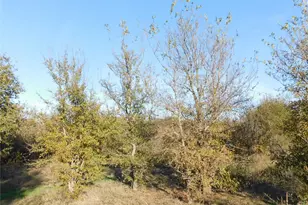 8105 Fm 2114, Hubbard, TX 76648 - Photo 11