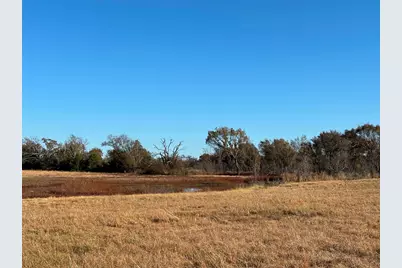 000 Fm 1653, Ben Wheeler, TX 75754 - Photo 5