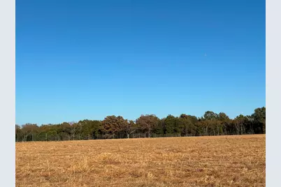 000 Fm 1653, Ben Wheeler, TX 75754 - Photo 3