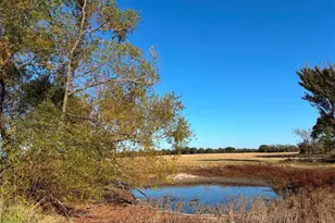 000 Fm 1653, Ben Wheeler, TX 75754 - Photo 1