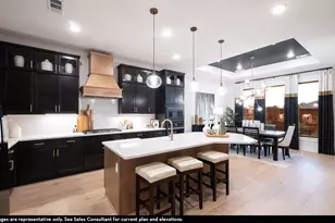 16725 Freshwater Dr, Celina, TX 75009 - Photo 7