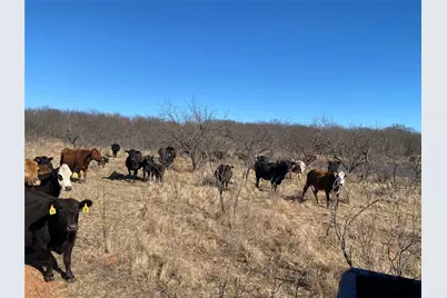 N/A Cr 103, Nocona, TX 76255 - Photo 7