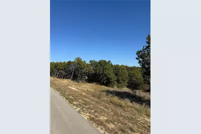 8421 Forest Lake Loop, Cleburne, TX 76033 - Photo 19