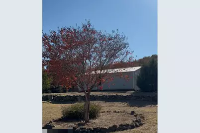 819 Captain S Drive, Bowie, TX 76230 - Photo 9