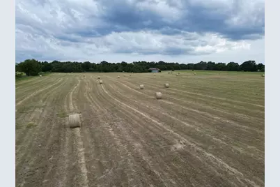 14.1 Acres County Road 2230, Mineola, TX 75773 - Photo 13