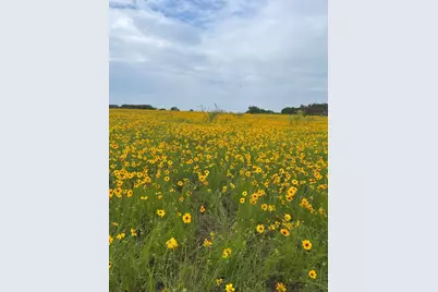 0000 Bison Ridge Drive #Lot 155, Stephenville, TX 76401 - Photo 13