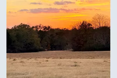 Tbd State Highway 19 Highway #Lot 4, Emory, TX 75440 - Photo 3