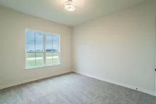 430 Harvest Time Ln, Venus, TX 76084 - Photo 25