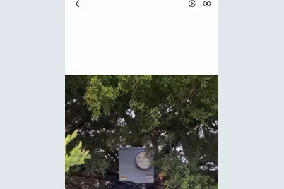 Tbd Fm-36, Farmersville, TX 75442 - Photo 15