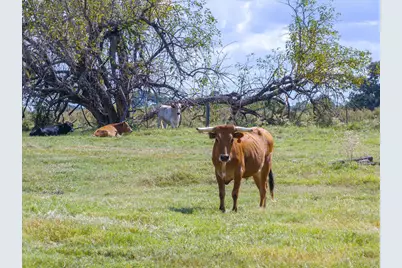 479 Vzcr 1504, Van, TX 75790 - Photo 5