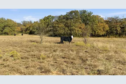 11051 Brock Highway, Lipan, TX 76462 - Photo 3