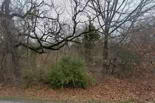 1114 Owhyhe Rd, Tool, TX 75143 - Photo 1