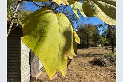 2250 W Kaufman Street, Paris, TX 75460 - Photo 33