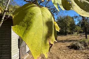 2250 W Kaufman St, Paris, TX 75460 - Photo 33