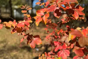2250 W Kaufman St, Paris, TX 75460 - Photo 27