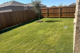 4423 Marigold Dr, Melissa, TX 75454 - Photo 11