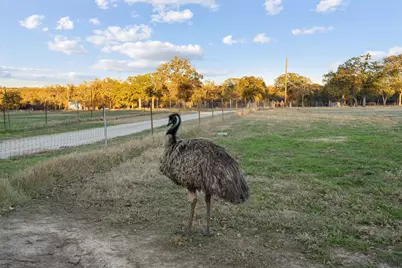 12664 Highway 199 W, Poolville, TX 76487 - Photo 7