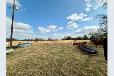 14 Acres County Road 3359, Saltillo, TX 75478 - Photo 5