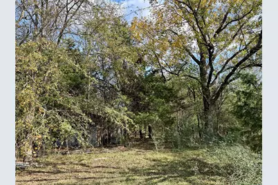 14 Acres County Road 3359, Saltillo, TX 75478 - Photo 15