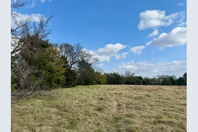 14 Acres County Road 3359, Saltillo, TX 75478 - Photo 9