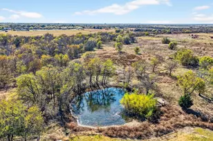 9174 Co Rd 9, Celina, TX 75009 - Photo 7