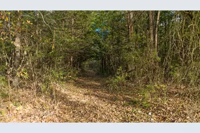 Tbd Cr 1440, Bogata, TX 75417 - Photo 3