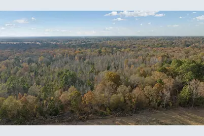 Tbd Cr 1440, Bogata, TX 75417 - Photo 7