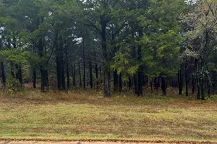 106 Barrington Cir, Gordonville, TX 76245 - Photo 1