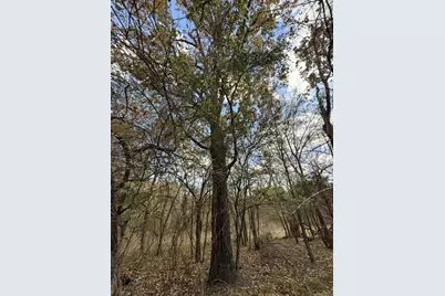 Lot #7 Rs County Road 1150, Emory, TX 75440 - Photo 9