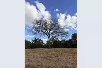 Lot #7 Rs County Road 1150, Emory, TX 75440 - Photo 3