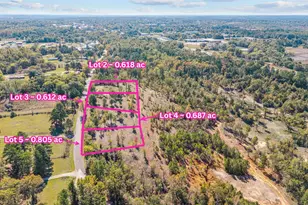 Tbd County Road 4112 Lot 3, Lindale, TX 75771 - Photo 1