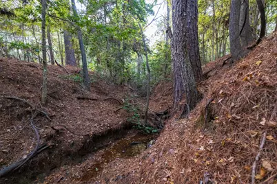 640 County Road 4910, Troup, TX 75789 - Photo 3