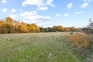 6652 E Fm 1396, Telephone, TX 75488 - Photo 37