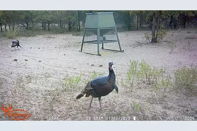 11605 County Road 372, Anson, TX 79501 - Photo 19