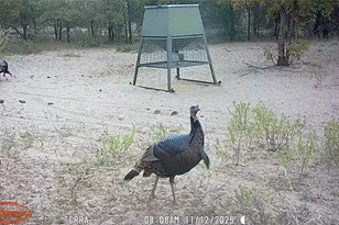 11605 Co Rd 372, Anson, TX 79501 - Photo 19