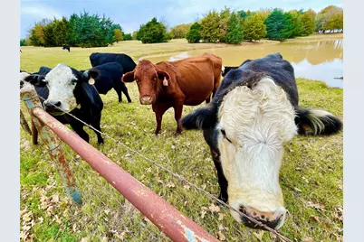 945 Brickyard Road, West, TX 76691 - Photo 7