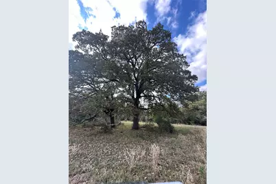 Tbd Lcr 758, Thornton, TX 76687 - Photo 13