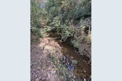 Tbd Lcr 758, Thornton, TX 76687 - Photo 33