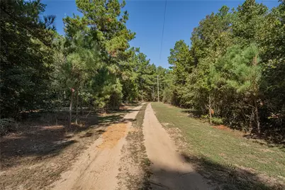 3299 Cr 1579, Avinger, TX 75630 - Photo 39