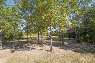 3299 Co Rd 1579, Avinger, TX 75630 - Photo 33