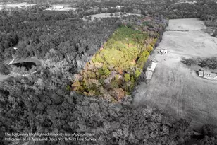 590 An County Rd 169, Elkhart, TX 75839 - Photo 25