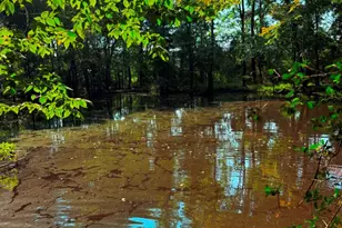 590 An County Rd 169, Elkhart, TX 75839 - Photo 23