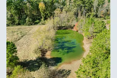 7697 N State Hwy 155, Gilmer, TX 75644 - Photo 3