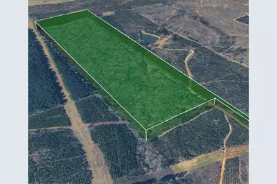 0 Nesbitt Cutoff Marshall, Marshall, TX 75670 - Photo 5