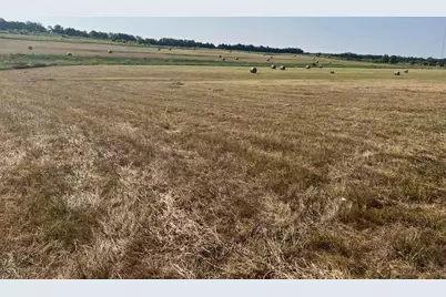 17560 E Fm 1396, Windom, TX 75492 - Photo 9