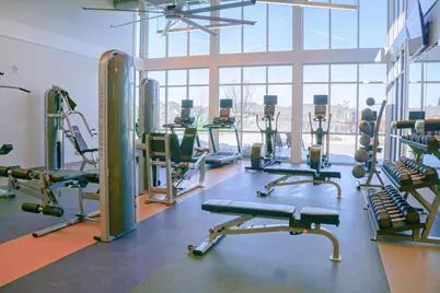 317 Bee Balm Road, McKinney, TX 75071 - Photo 23